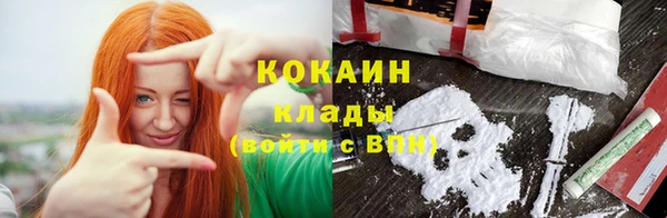 шишки Верхний Тагил