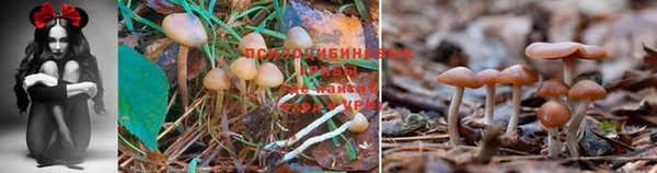 альфа пвп VHQ Верхнеуральск