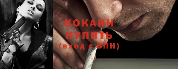 шишки Верхний Тагил
