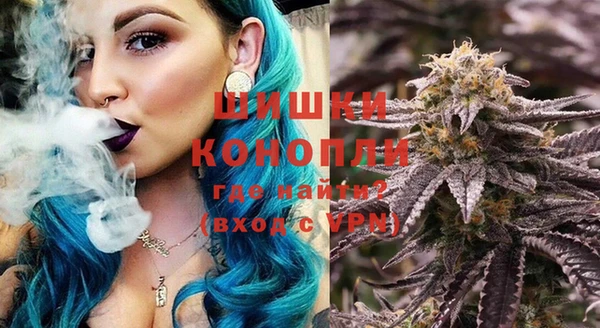 шишки Верхний Тагил