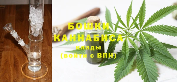 шишки Верхний Тагил