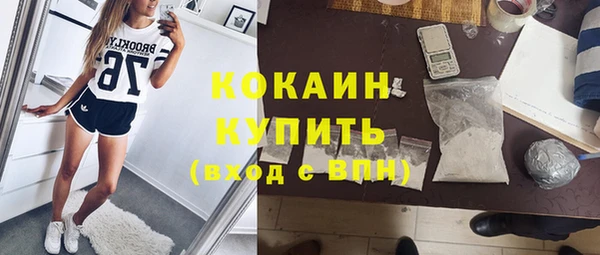 шишки Верхний Тагил