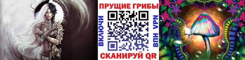 Купить  Лебедянь  Галлюциногенные грибы прущие грибы 
